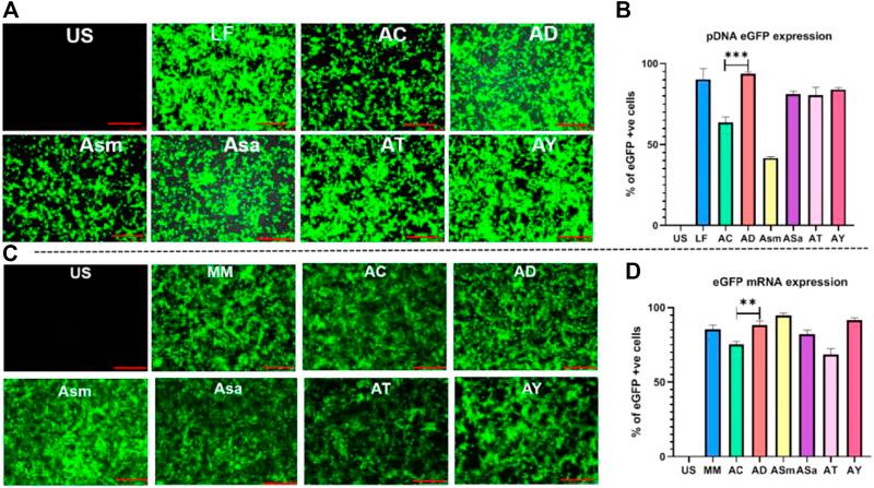 https://cdn.ncbi.nlm.nih.gov/pmc/blobs/1fff/9868636/15e0e158adb8/fbioe-10-1031049-g002.jpg