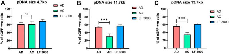 https://cdn.ncbi.nlm.nih.gov/pmc/blobs/1fff/9868636/3e378e2cb8d3/fbioe-10-1031049-g004.jpg