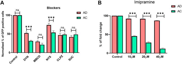https://cdn.ncbi.nlm.nih.gov/pmc/blobs/1fff/9868636/a43bf021e413/fbioe-10-1031049-g003.jpg