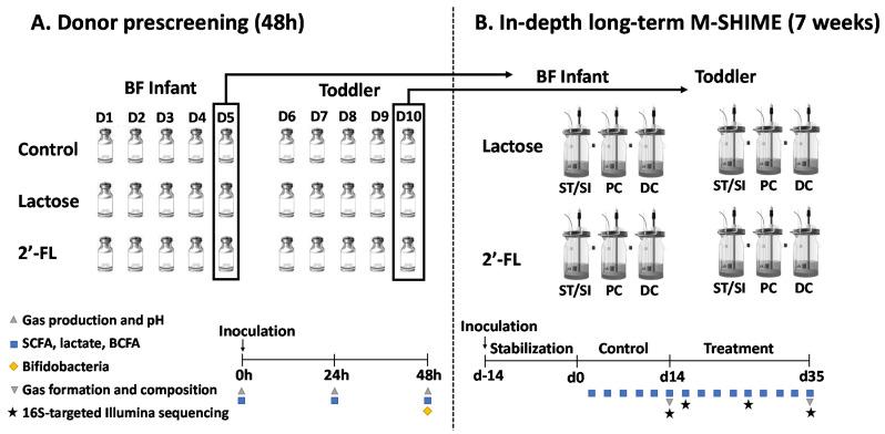 https://cdn.ncbi.nlm.nih.gov/pmc/blobs/2000/7996240/c26c2b239624/nutrients-13-00726-g001.jpg