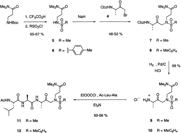 https://cdn.ncbi.nlm.nih.gov/pmc/blobs/2001/7172622/ab95bc4f9b7c/sc2.jpg
