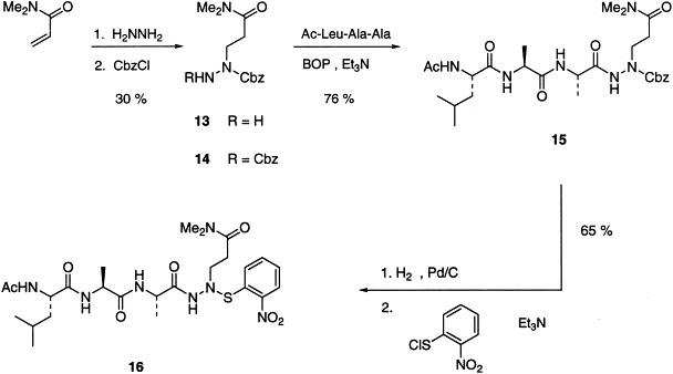 https://cdn.ncbi.nlm.nih.gov/pmc/blobs/2001/7172622/d5422bdfcb1e/sc3.jpg