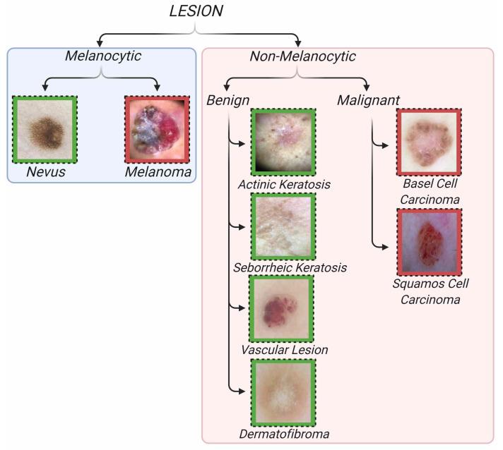 https://cdn.ncbi.nlm.nih.gov/pmc/blobs/2001/9457478/792058e7cf13/jcm-11-05102-g002.jpg