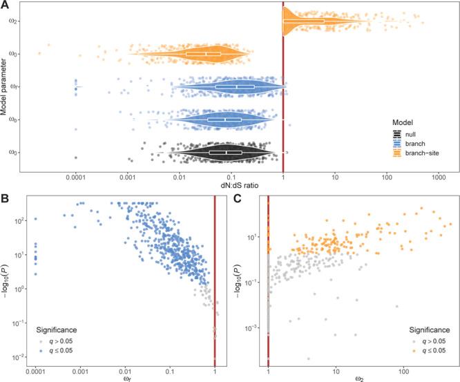 https://cdn.ncbi.nlm.nih.gov/pmc/blobs/2002/7816800/4e3b4c8f7295/coaa136f2.jpg