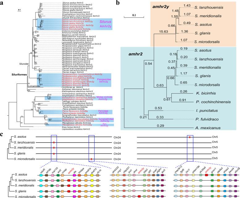 https://cdn.ncbi.nlm.nih.gov/pmc/blobs/2004/11846232/023f8f1baca2/12915_2025_2160_Fig4_HTML.jpg
