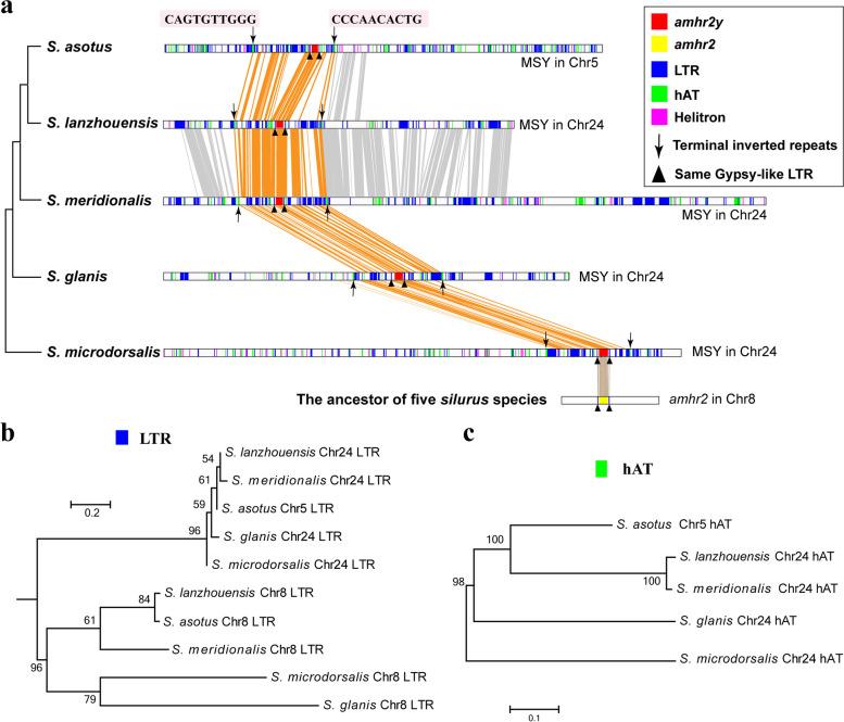 https://cdn.ncbi.nlm.nih.gov/pmc/blobs/2004/11846232/0db3dce08590/12915_2025_2160_Fig6_HTML.jpg