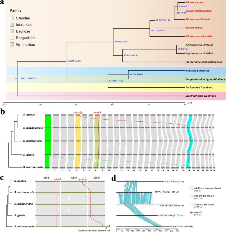 https://cdn.ncbi.nlm.nih.gov/pmc/blobs/2004/11846232/5d0bcca2f586/12915_2025_2160_Fig2_HTML.jpg