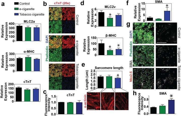 https://cdn.ncbi.nlm.nih.gov/pmc/blobs/2005/4433280/429a42c7b37a/pone.0126259.g006.jpg