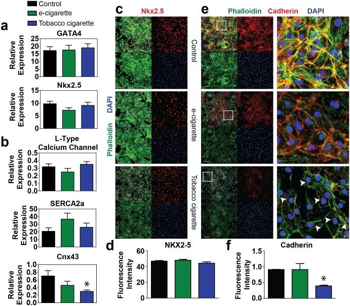 https://cdn.ncbi.nlm.nih.gov/pmc/blobs/2005/4433280/dd90356df5dd/pone.0126259.g005.jpg