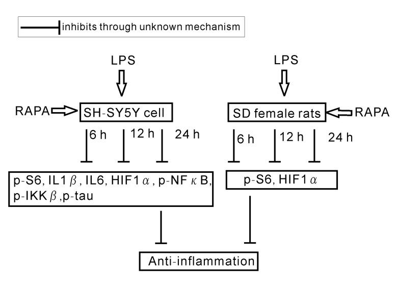 https://cdn.ncbi.nlm.nih.gov/pmc/blobs/2007/5355655/8a8ec44f4321/MMR-14-06-4957-g04.jpg