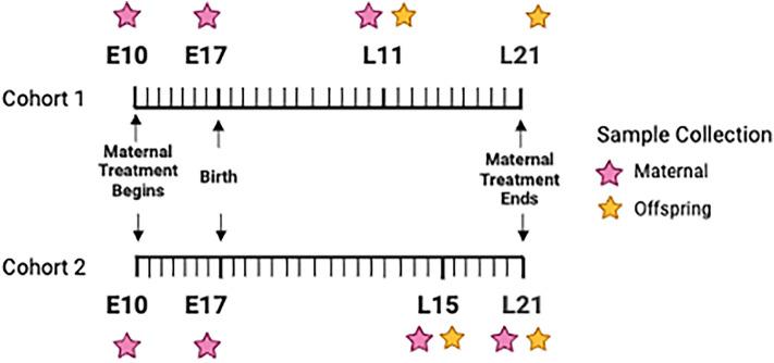 https://cdn.ncbi.nlm.nih.gov/pmc/blobs/2008/11178873/5d14ba527ba2/41598_2024_62224_Fig5_HTML.jpg