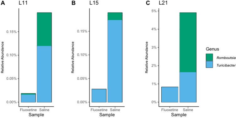 https://cdn.ncbi.nlm.nih.gov/pmc/blobs/2008/11178873/d5cbd05c8e77/41598_2024_62224_Fig4_HTML.jpg