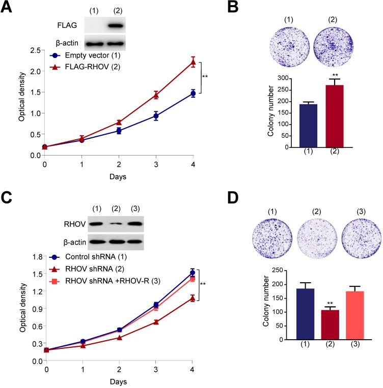 https://cdn.ncbi.nlm.nih.gov/pmc/blobs/200b/8315012/214de5f55161/ijbsv17p2622g003.jpg