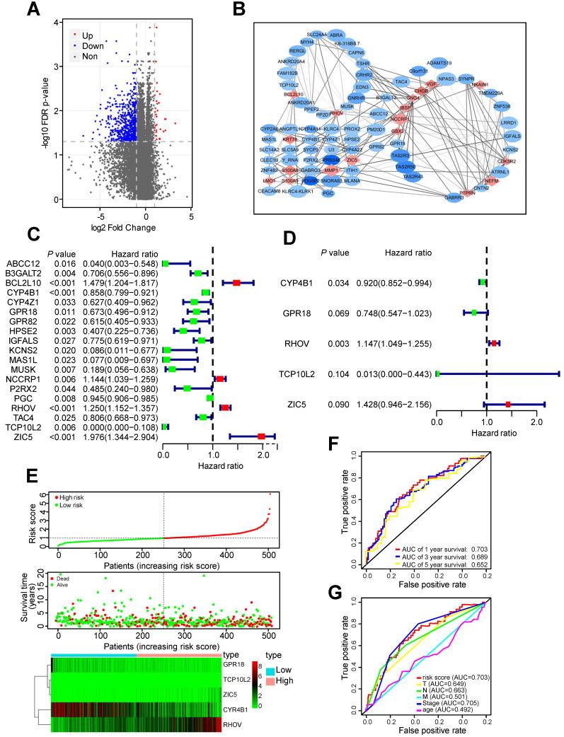 https://cdn.ncbi.nlm.nih.gov/pmc/blobs/200b/8315012/284766b48ee8/ijbsv17p2622g001.jpg