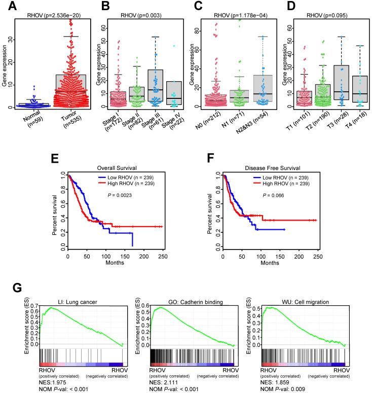 https://cdn.ncbi.nlm.nih.gov/pmc/blobs/200b/8315012/c86afed86842/ijbsv17p2622g002.jpg