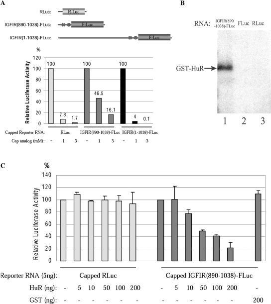 https://cdn.ncbi.nlm.nih.gov/pmc/blobs/200e/1140080/263c6ccd2c3a/gki603f9.jpg