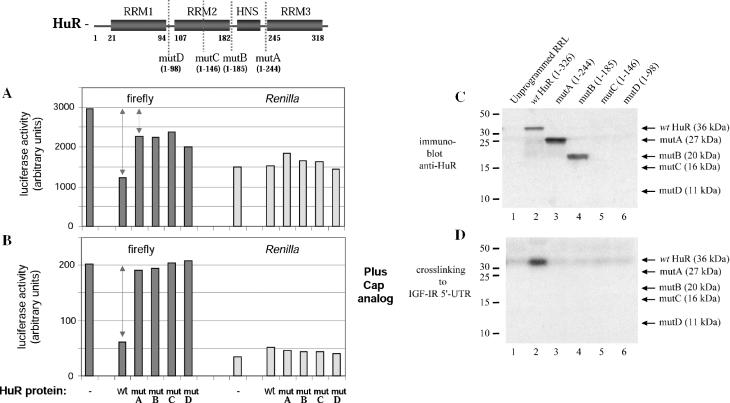 https://cdn.ncbi.nlm.nih.gov/pmc/blobs/200e/1140080/4bf57ff93e56/gki603f5.jpg