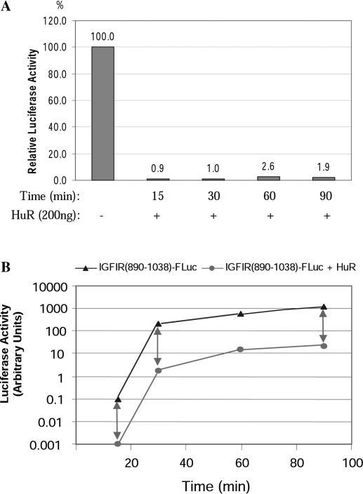 https://cdn.ncbi.nlm.nih.gov/pmc/blobs/200e/1140080/b47d921a84e9/gki603f11.jpg