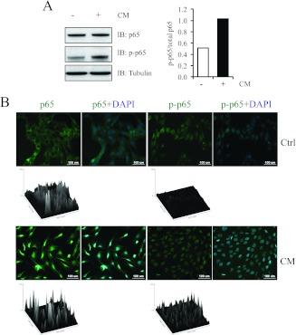 https://cdn.ncbi.nlm.nih.gov/pmc/blobs/200e/3408049/481ef2c404a4/bic232i006.jpg