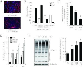 https://cdn.ncbi.nlm.nih.gov/pmc/blobs/200e/3408049/8d0c6156b4ba/bic232i004.jpg