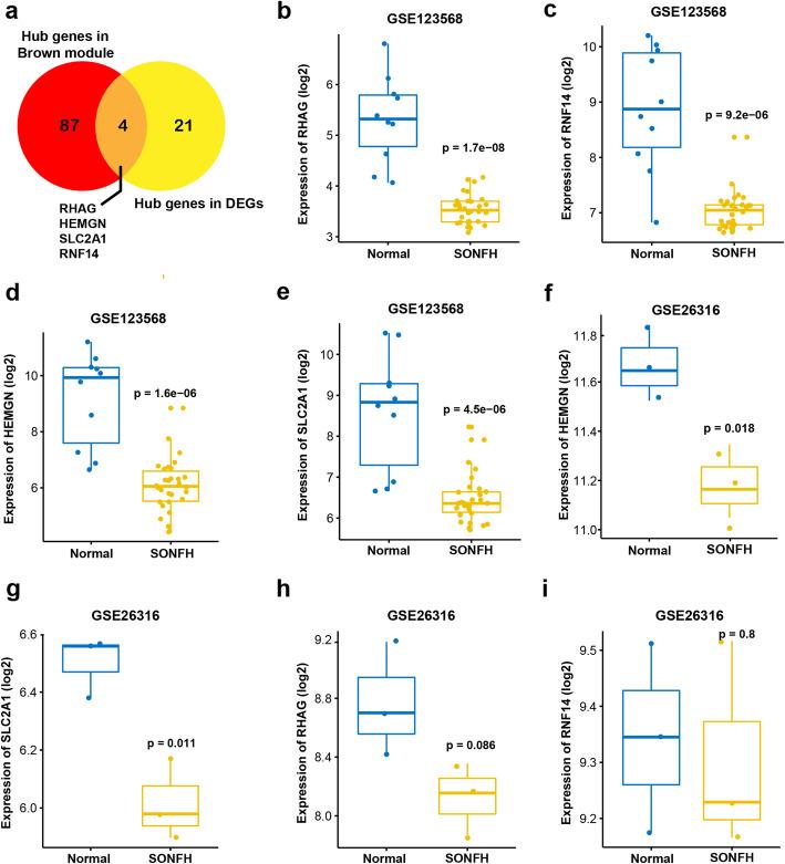 https://cdn.ncbi.nlm.nih.gov/pmc/blobs/2011/7811219/188ed488539b/12891_2021_3958_Fig6_HTML.jpg
