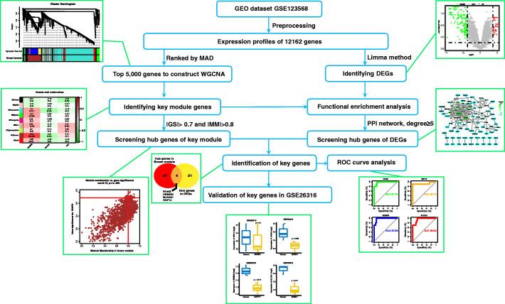 https://cdn.ncbi.nlm.nih.gov/pmc/blobs/2011/7811219/bdd225aa15d1/12891_2021_3958_Fig1_HTML.jpg