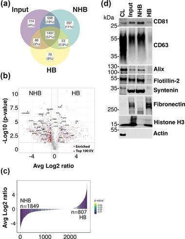 https://cdn.ncbi.nlm.nih.gov/pmc/blobs/2012/10240191/57bed9dfe5ea/JEV2-12-12327-g007.jpg