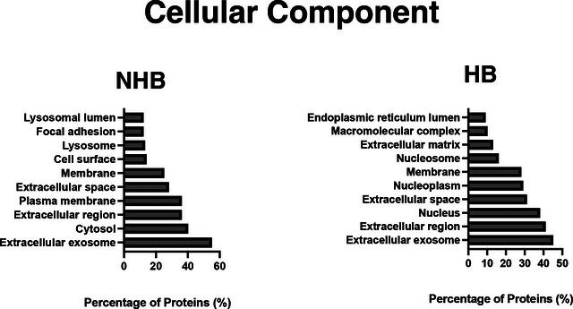 https://cdn.ncbi.nlm.nih.gov/pmc/blobs/2012/10240191/6eeb873d3fe8/JEV2-12-12327-g005.jpg