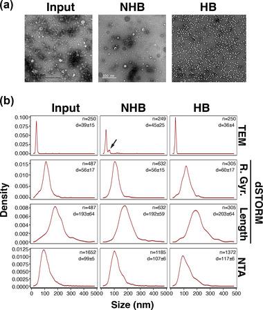 https://cdn.ncbi.nlm.nih.gov/pmc/blobs/2012/10240191/9ae8ea1fe3bc/JEV2-12-12327-g004.jpg