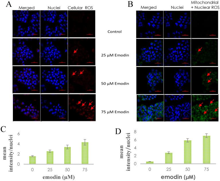 https://cdn.ncbi.nlm.nih.gov/pmc/blobs/2014/7778552/202dd6fca1ca/jcav12p0652g014.jpg