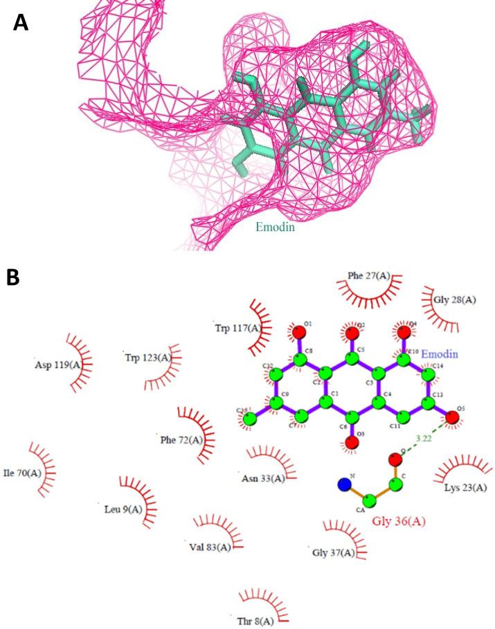 https://cdn.ncbi.nlm.nih.gov/pmc/blobs/2014/7778552/8fe2e31ee3c4/jcav12p0652g001.jpg
