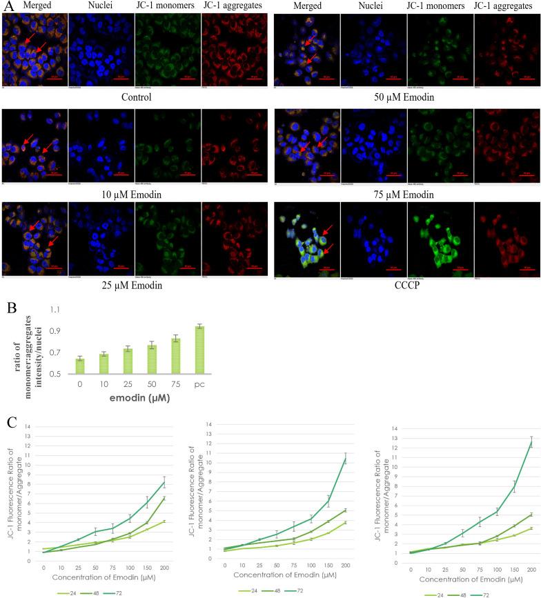 https://cdn.ncbi.nlm.nih.gov/pmc/blobs/2014/7778552/95f2cbd5e6d6/jcav12p0652g015.jpg