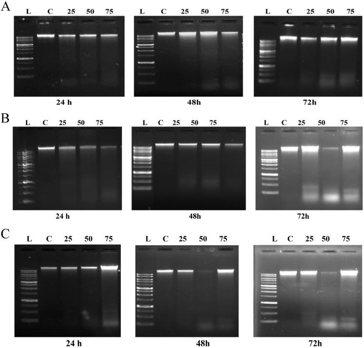 https://cdn.ncbi.nlm.nih.gov/pmc/blobs/2014/7778552/9a83c1cbe14f/jcav12p0652g017.jpg