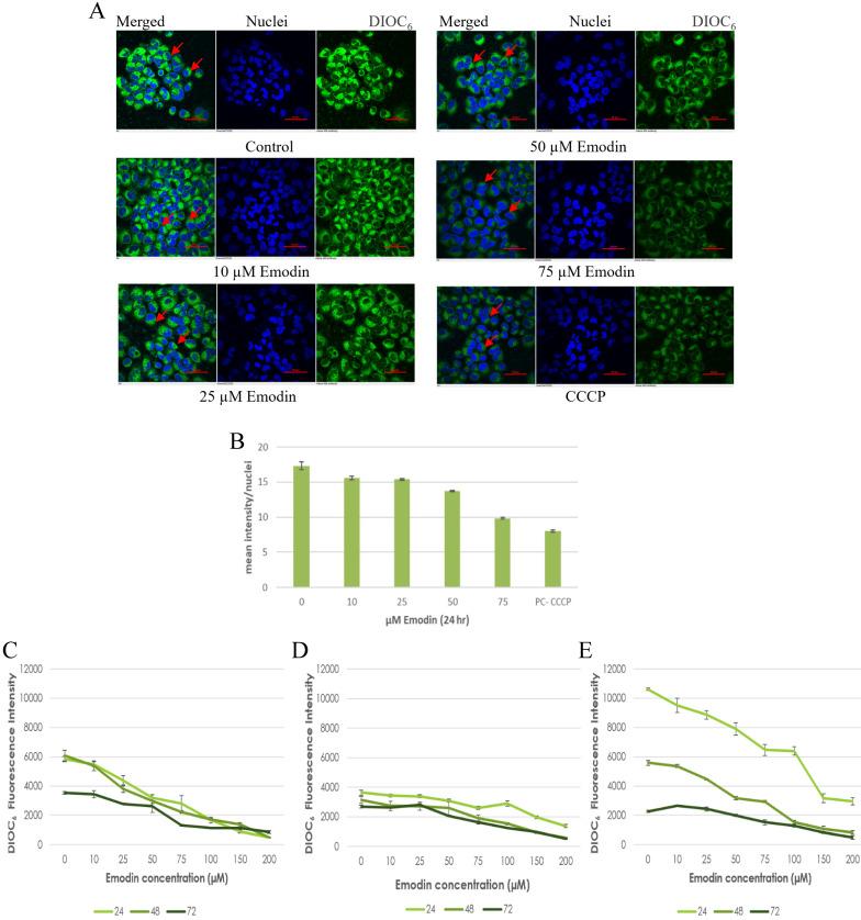 https://cdn.ncbi.nlm.nih.gov/pmc/blobs/2014/7778552/f5d5976473c8/jcav12p0652g016.jpg