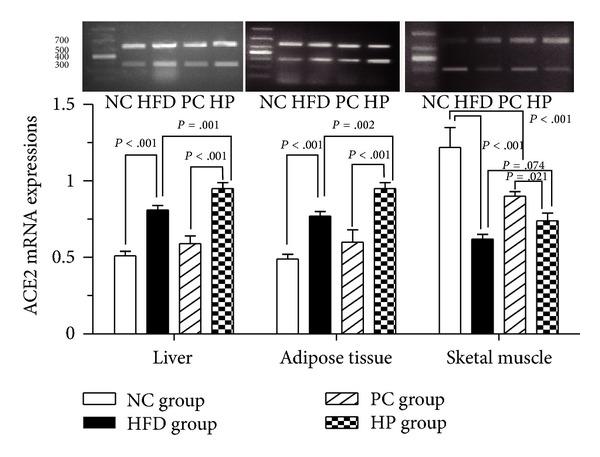 https://cdn.ncbi.nlm.nih.gov/pmc/blobs/2015/3914411/2e7a0bc705de/TSWJ2014-603409.002.jpg