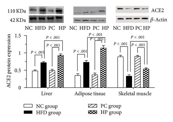 https://cdn.ncbi.nlm.nih.gov/pmc/blobs/2015/3914411/c3b0e4c3cc21/TSWJ2014-603409.003.jpg
