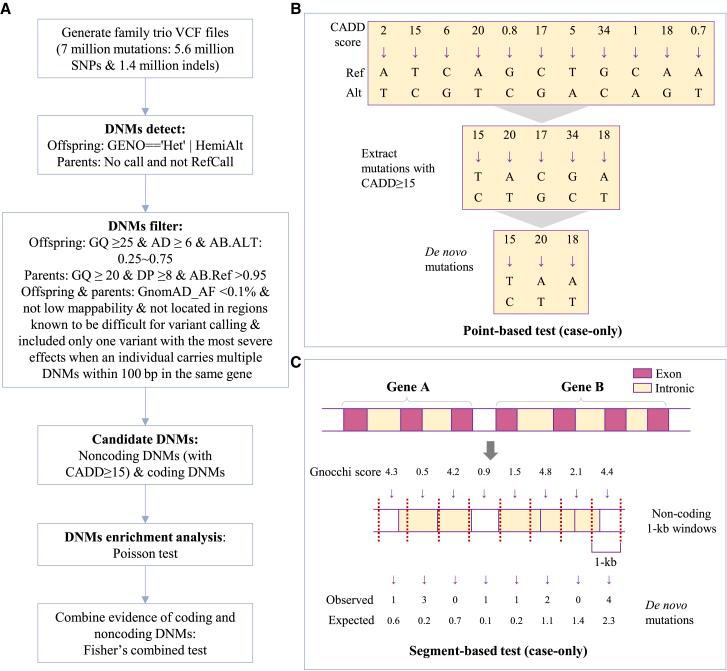 https://cdn.ncbi.nlm.nih.gov/pmc/blobs/2016/12392654/06224319d878/gr1.jpg