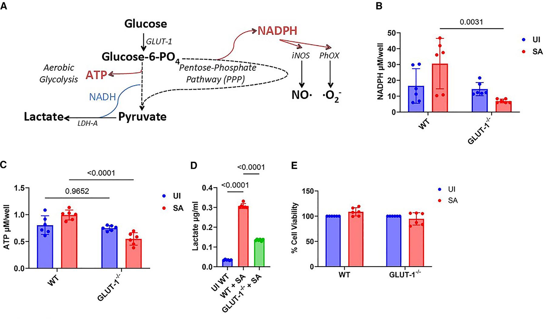 https://cdn.ncbi.nlm.nih.gov/pmc/blobs/2017/11323221/0e6e08626c01/nihms-2011889-f0004.jpg