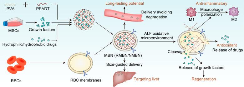 https://cdn.ncbi.nlm.nih.gov/pmc/blobs/2018/10883031/03e154bd78ad/nn4c00173_0001.jpg