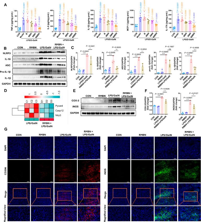 https://cdn.ncbi.nlm.nih.gov/pmc/blobs/2018/10883031/6e5feae0e965/nn4c00173_0005.jpg