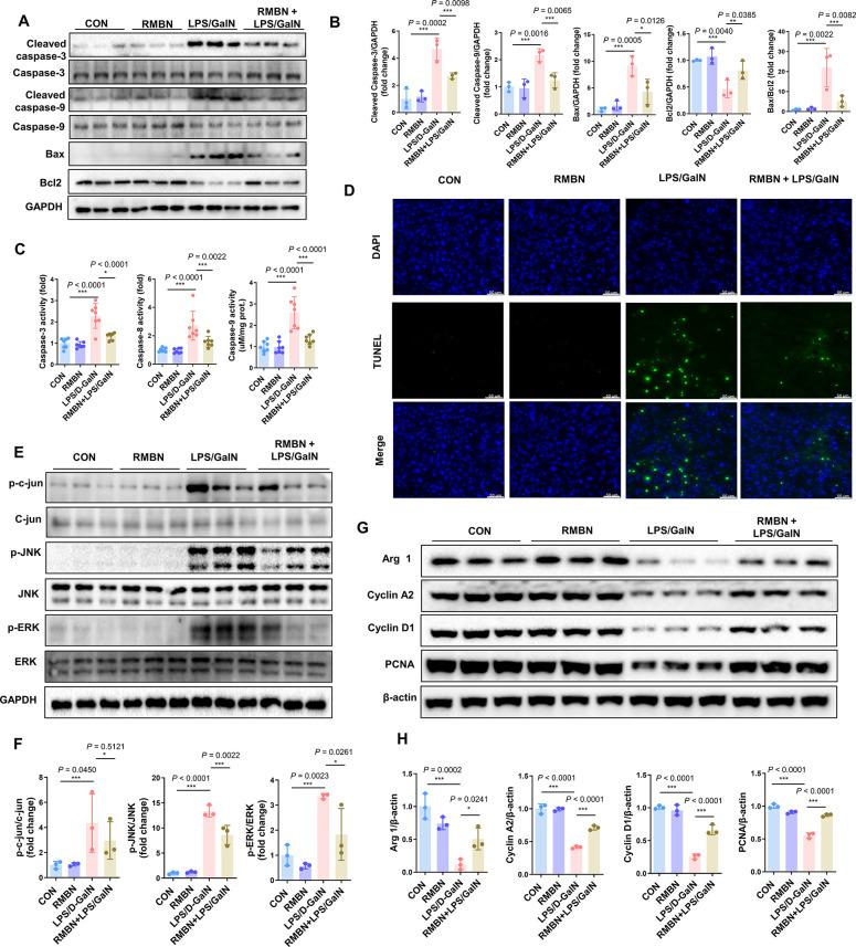 https://cdn.ncbi.nlm.nih.gov/pmc/blobs/2018/10883031/9346023d132c/nn4c00173_0006.jpg