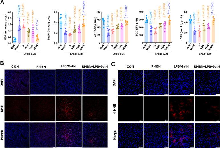 https://cdn.ncbi.nlm.nih.gov/pmc/blobs/2018/10883031/b9d8694e9bc0/nn4c00173_0004.jpg