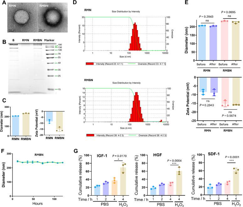 https://cdn.ncbi.nlm.nih.gov/pmc/blobs/2018/10883031/d82092c1b9fa/nn4c00173_0002.jpg