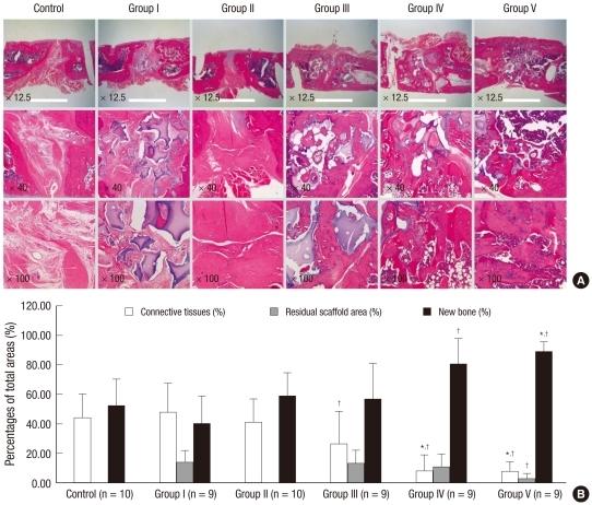https://cdn.ncbi.nlm.nih.gov/pmc/blobs/2019/3069566/e3bf3321801f/jkms-26-482-g005.jpg
