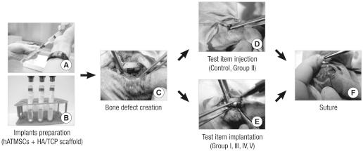 https://cdn.ncbi.nlm.nih.gov/pmc/blobs/2019/3069566/fc22bcf79f12/jkms-26-482-g001.jpg
