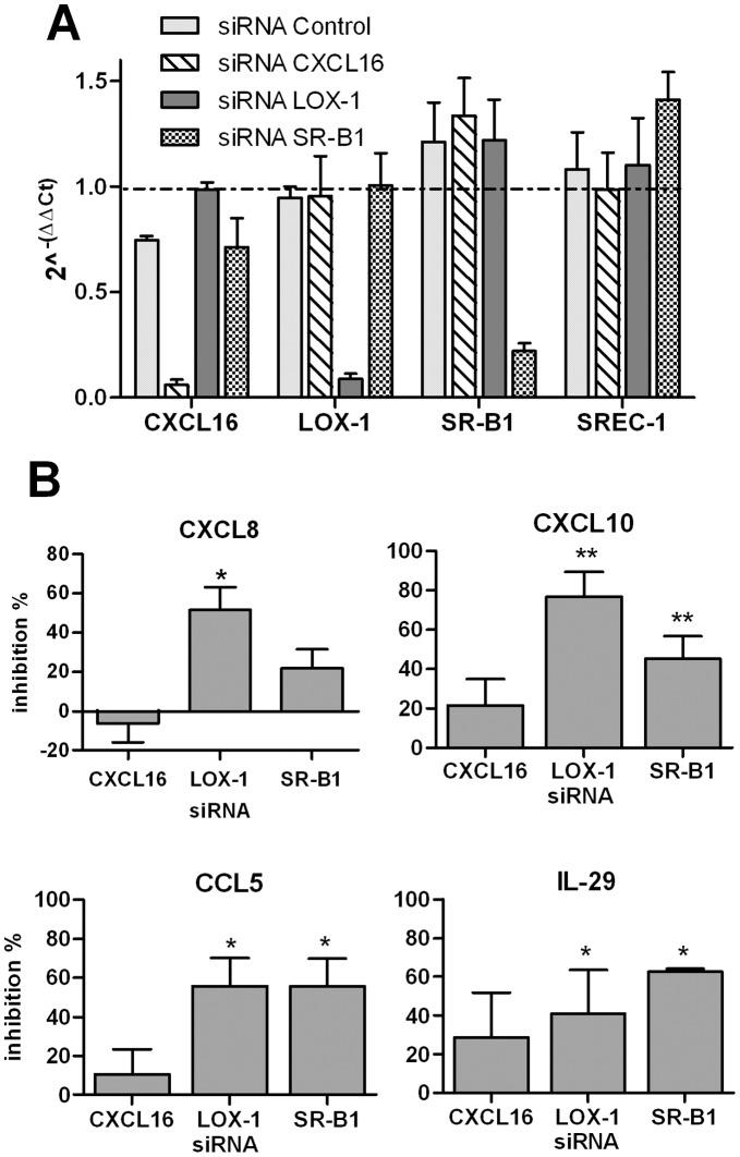 https://cdn.ncbi.nlm.nih.gov/pmc/blobs/2019/3413698/488a35275da6/pone.0041952.g005.jpg