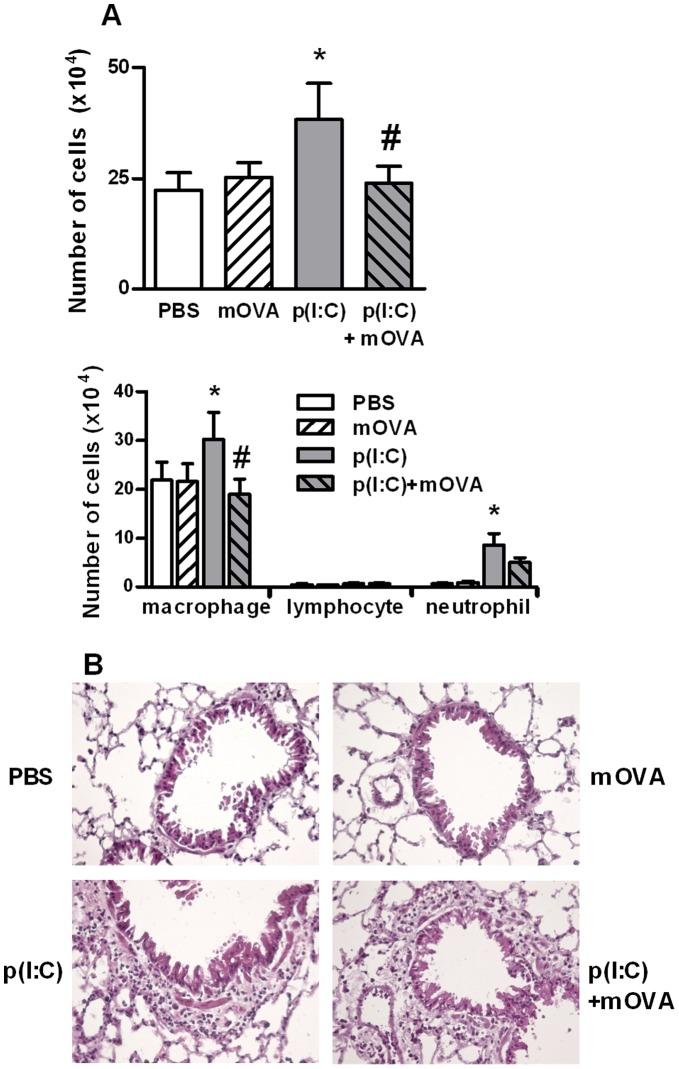 https://cdn.ncbi.nlm.nih.gov/pmc/blobs/2019/3413698/8358172ac309/pone.0041952.g006.jpg