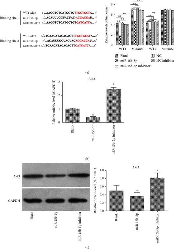 https://cdn.ncbi.nlm.nih.gov/pmc/blobs/201a/7806375/b94549fd20ad/BMRI2021-8814862.003.jpg