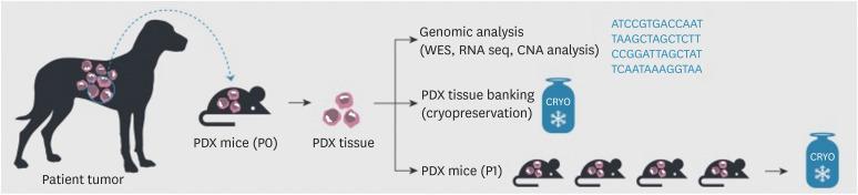 https://cdn.ncbi.nlm.nih.gov/pmc/blobs/201a/9981990/f6216bcc1de2/jbc-26-1-g003.jpg