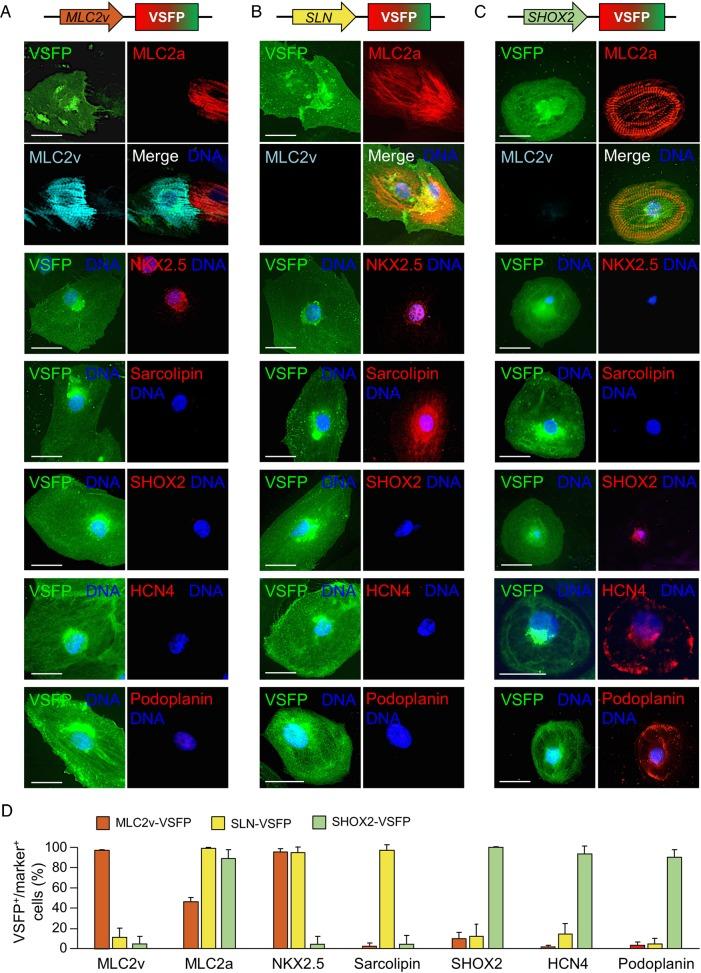 https://cdn.ncbi.nlm.nih.gov/pmc/blobs/201b/5381588/5073015cb569/ehw18902.jpg